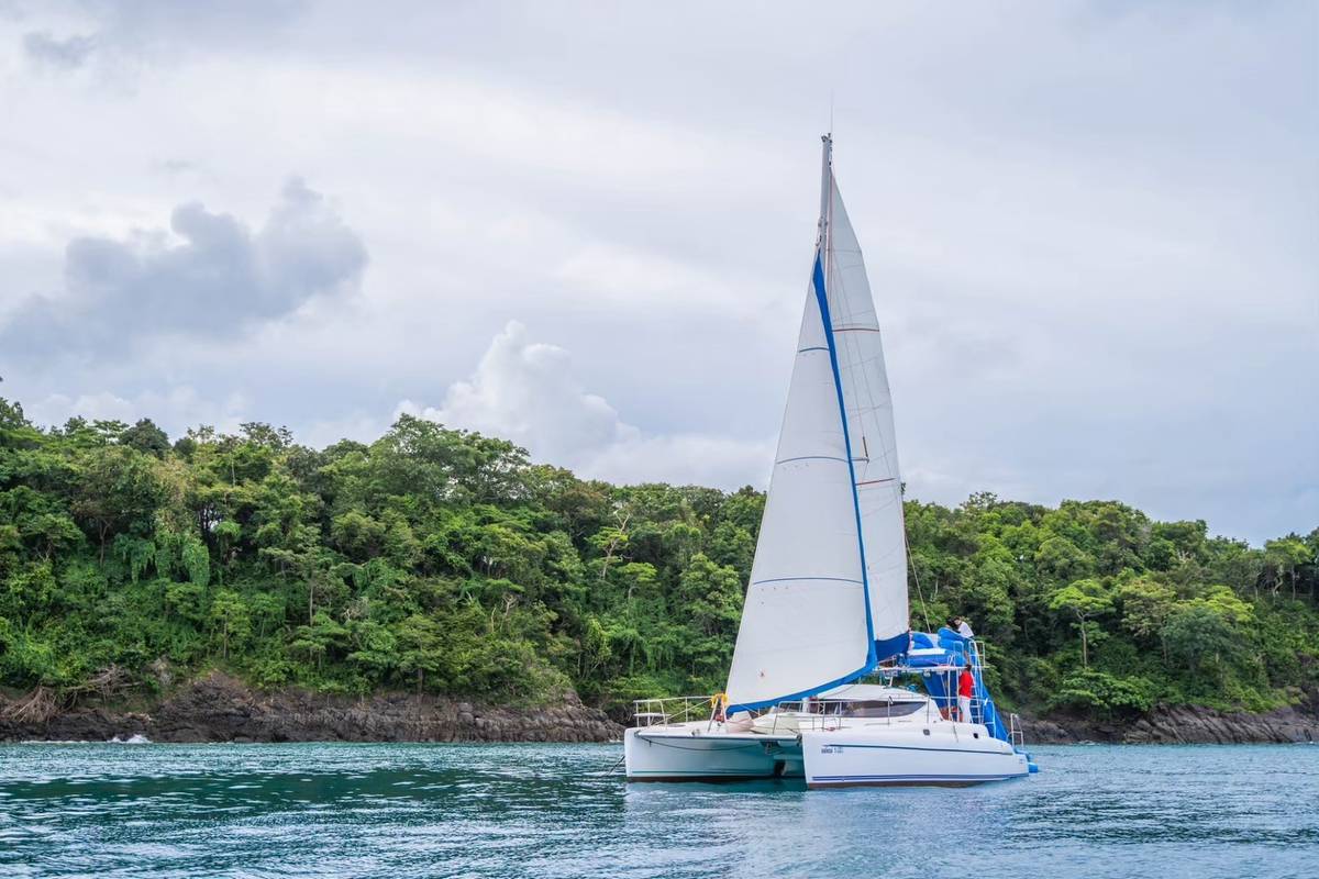 luxury-wildcat-44ft-charter-phuket